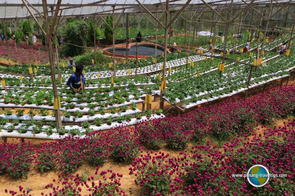 Highlands Apiary Farm