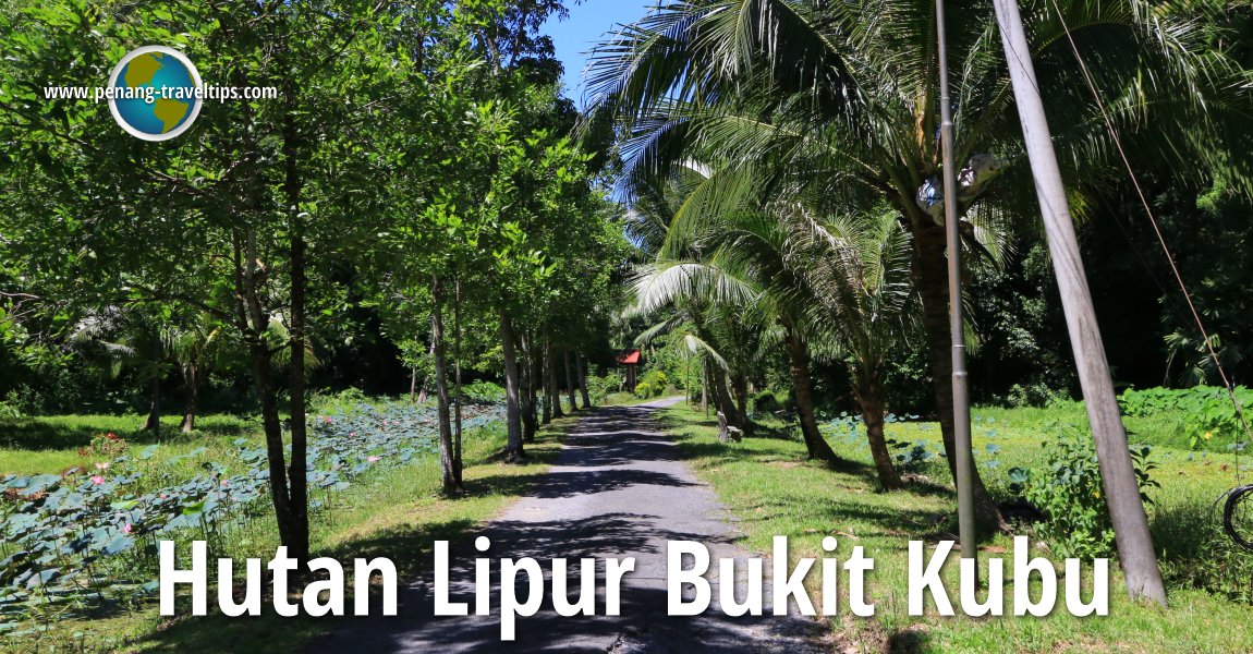 Hutan Lipur Bukit Kubu