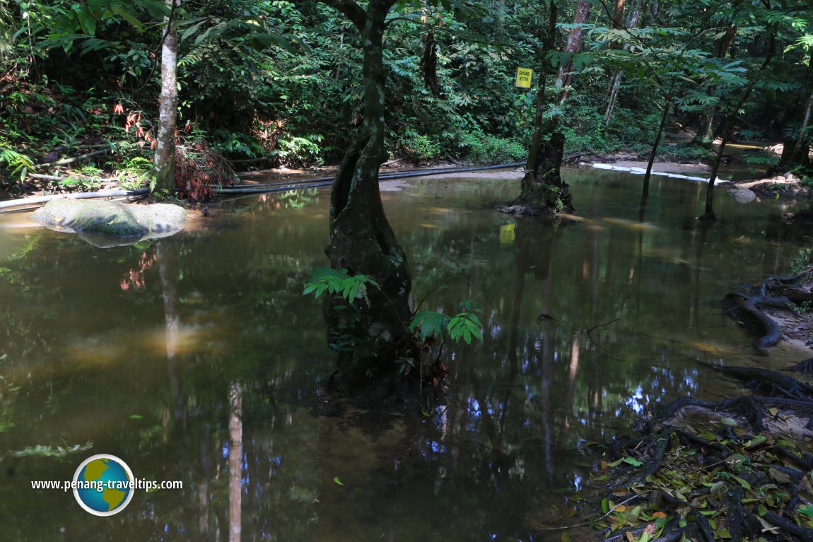 Hutan Rekreasi Sungai Tekala