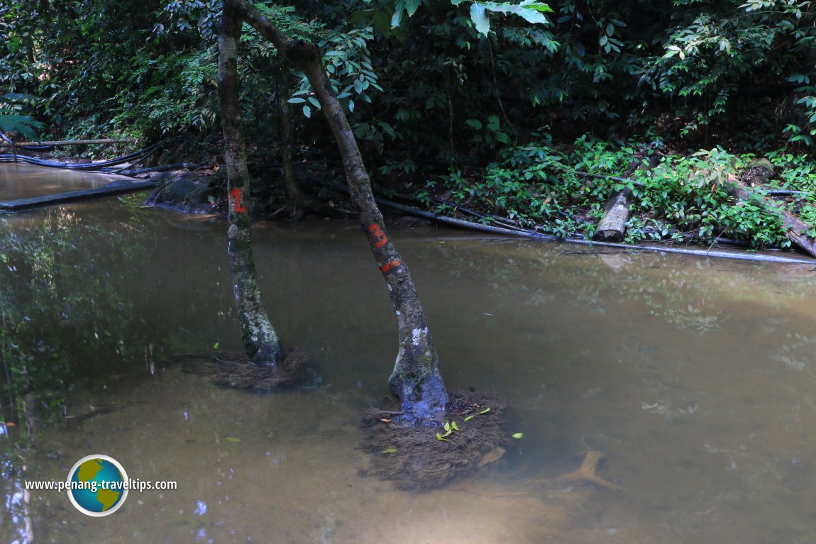 Hutan Rekreasi Sungai Tekala