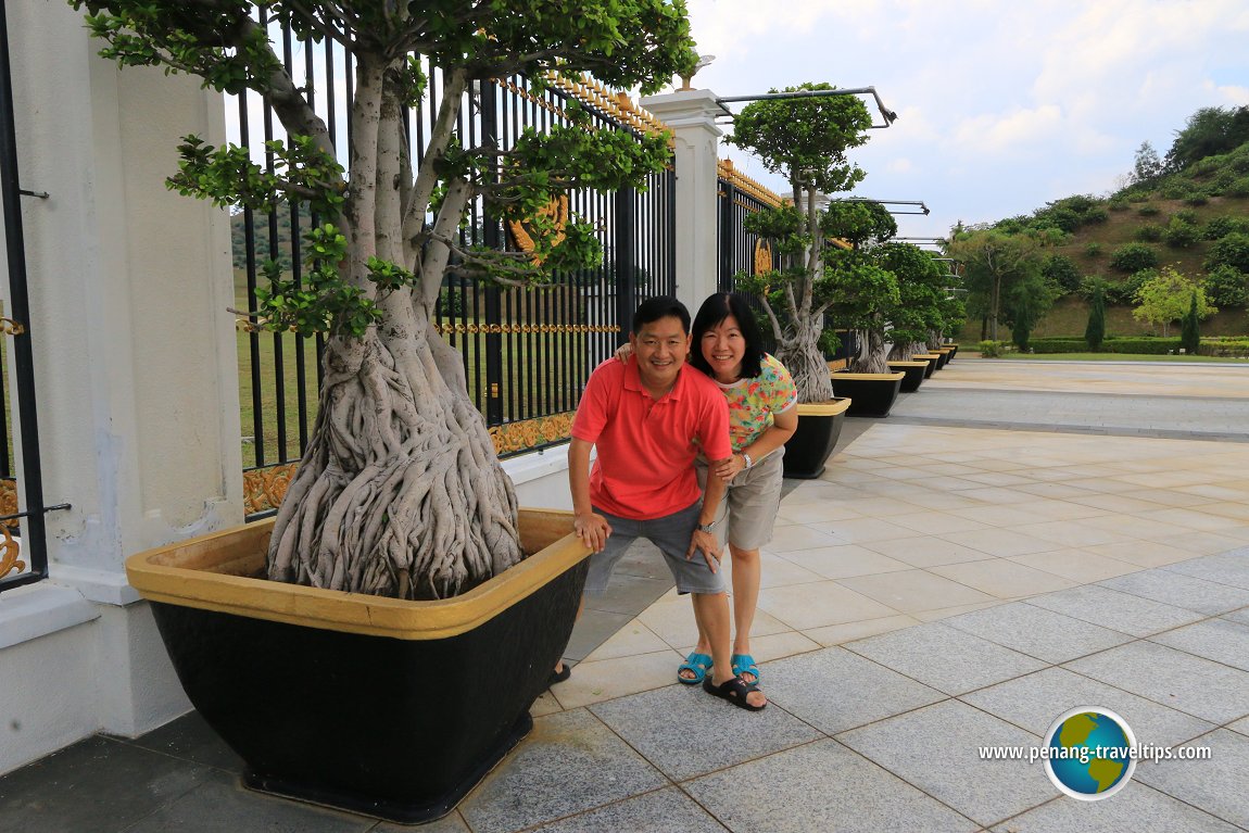 Istana Negara