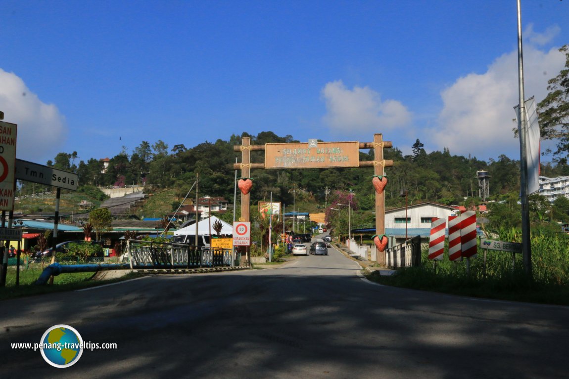 Kampung Taman Sedia Cameron Highlands