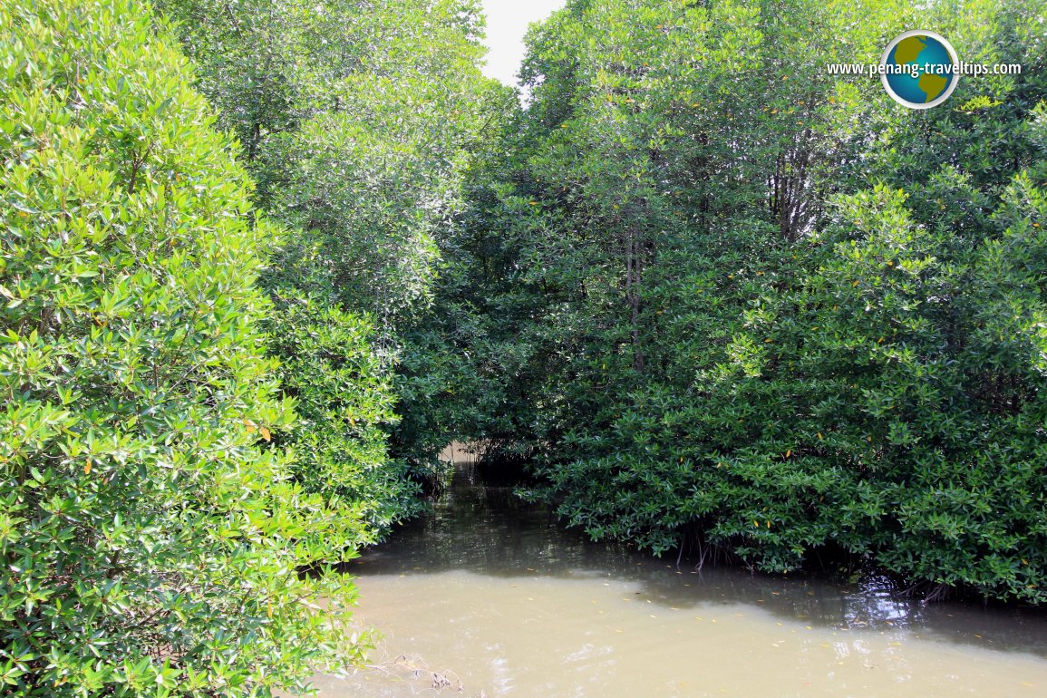 Kompleks Jeti Sungai Merbok, Sungai Petani