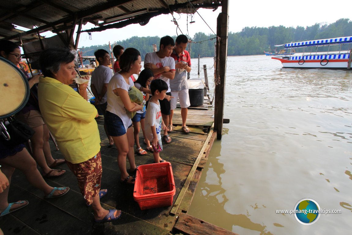 Kuala Sepetang Eco Tourism