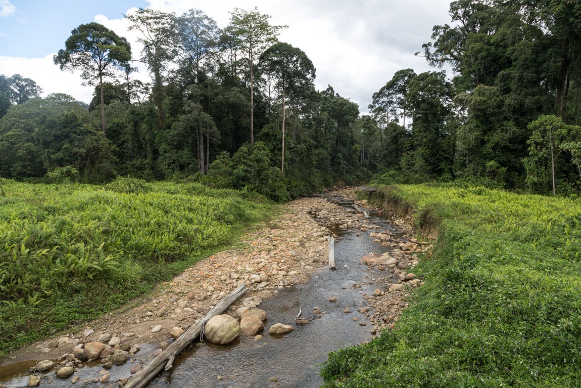 Maliau Basin Conservation Area