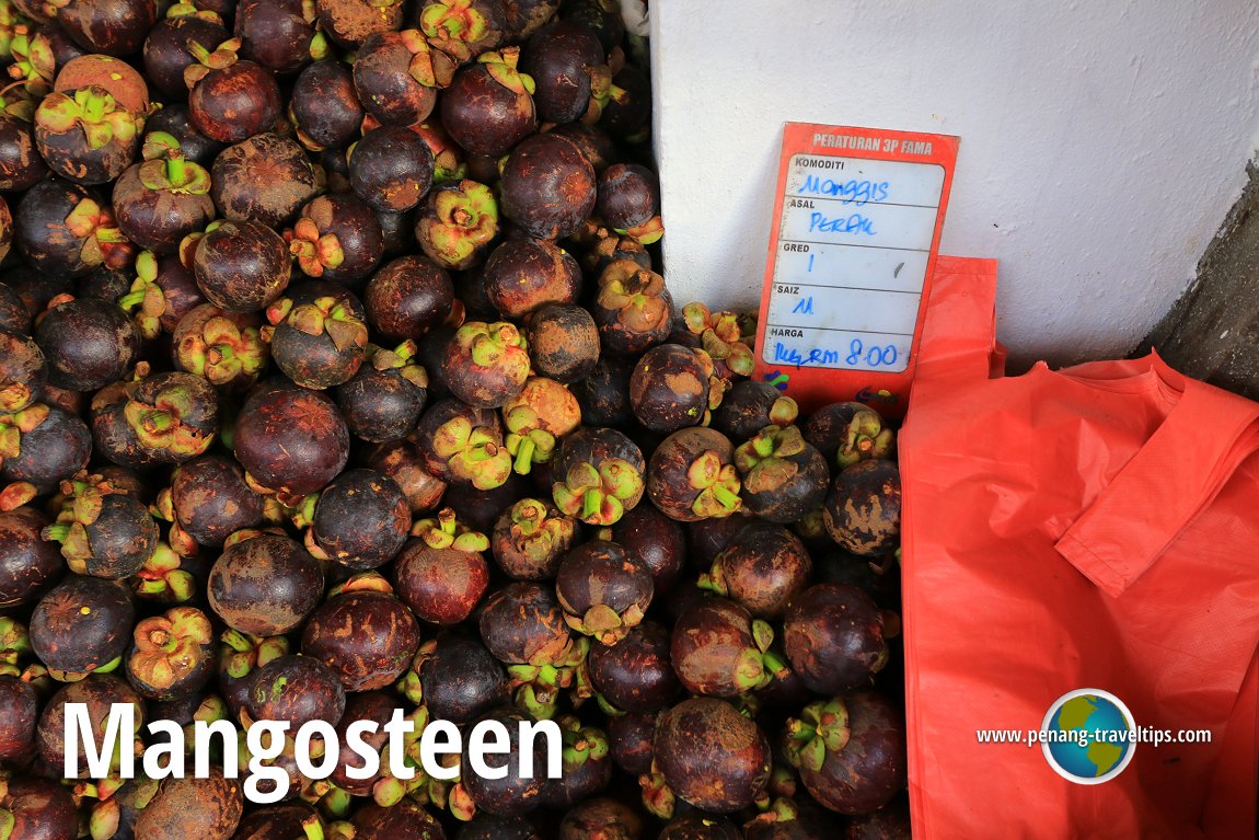 Mangosteen