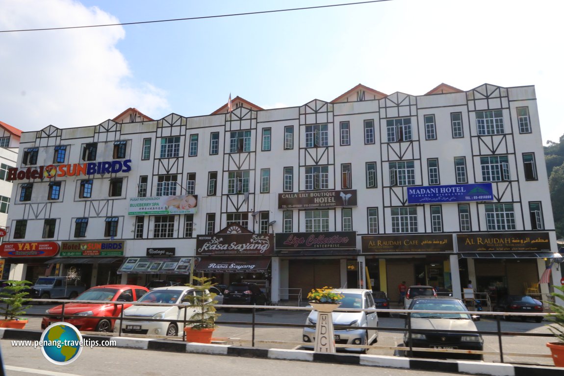 Marigold Square, Cameron Highlands