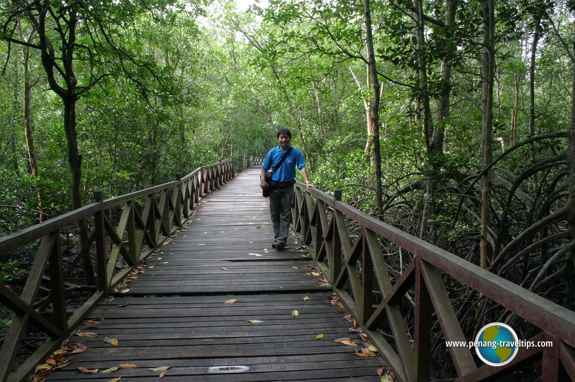 Timothy Tye at the Matang Mangrove Forest