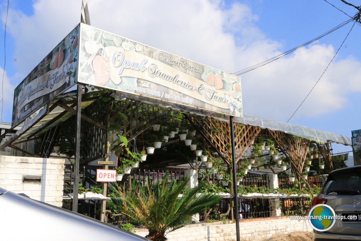 Opah Strawberries, Cameron Highlands