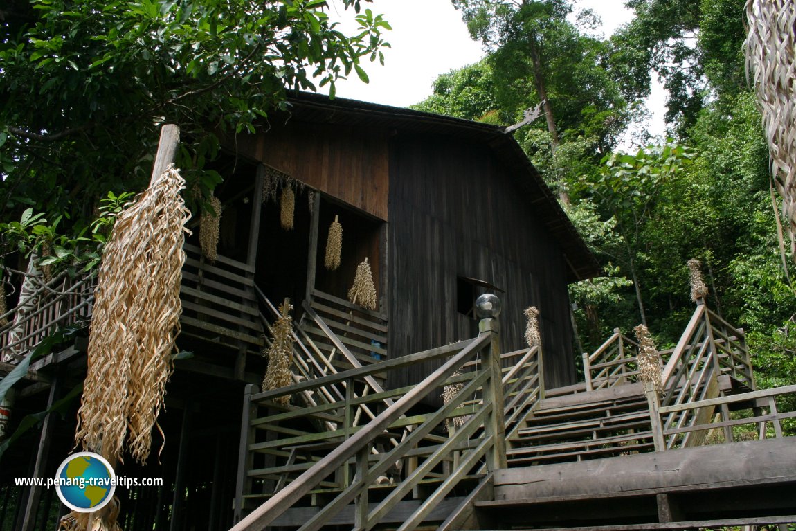 Approaching the Orang Ulu longhouse