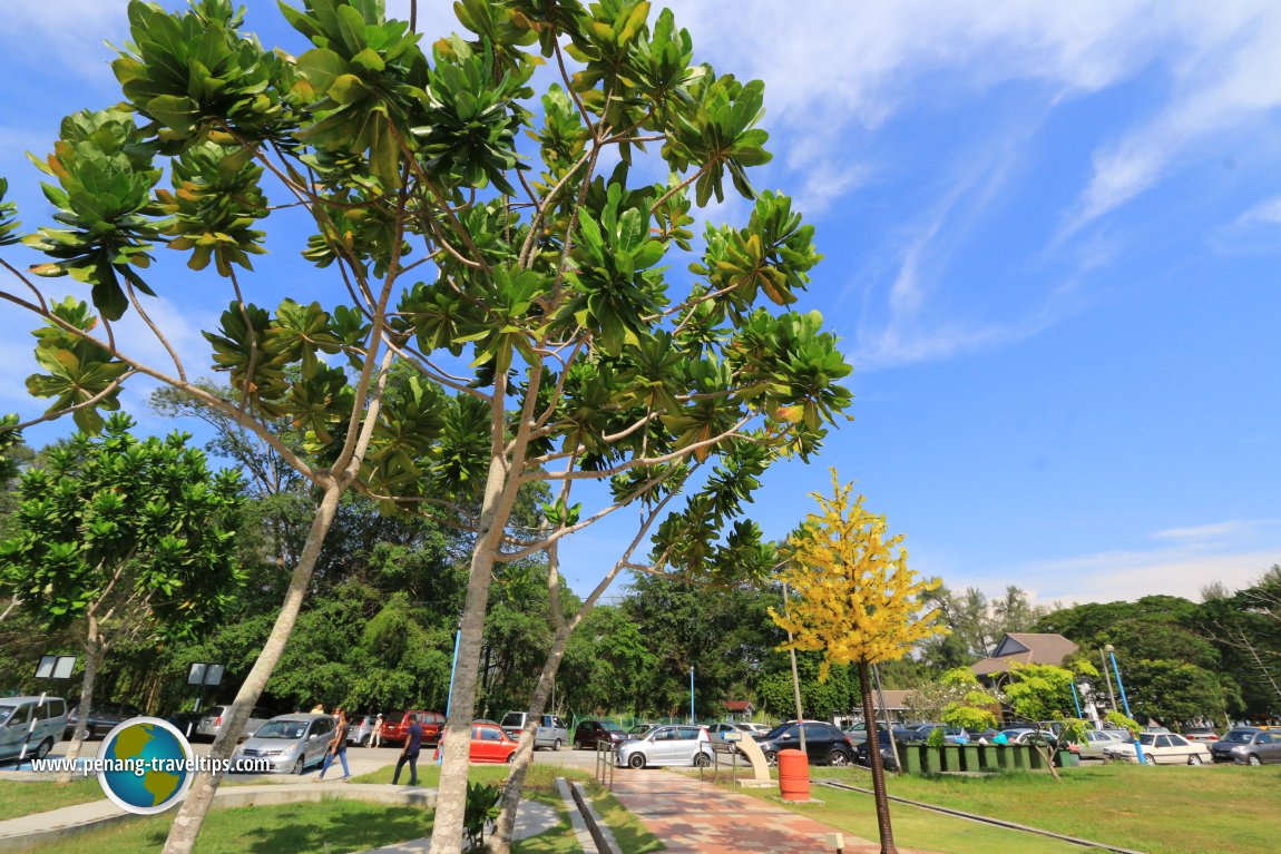 Morib Beach, Selangor