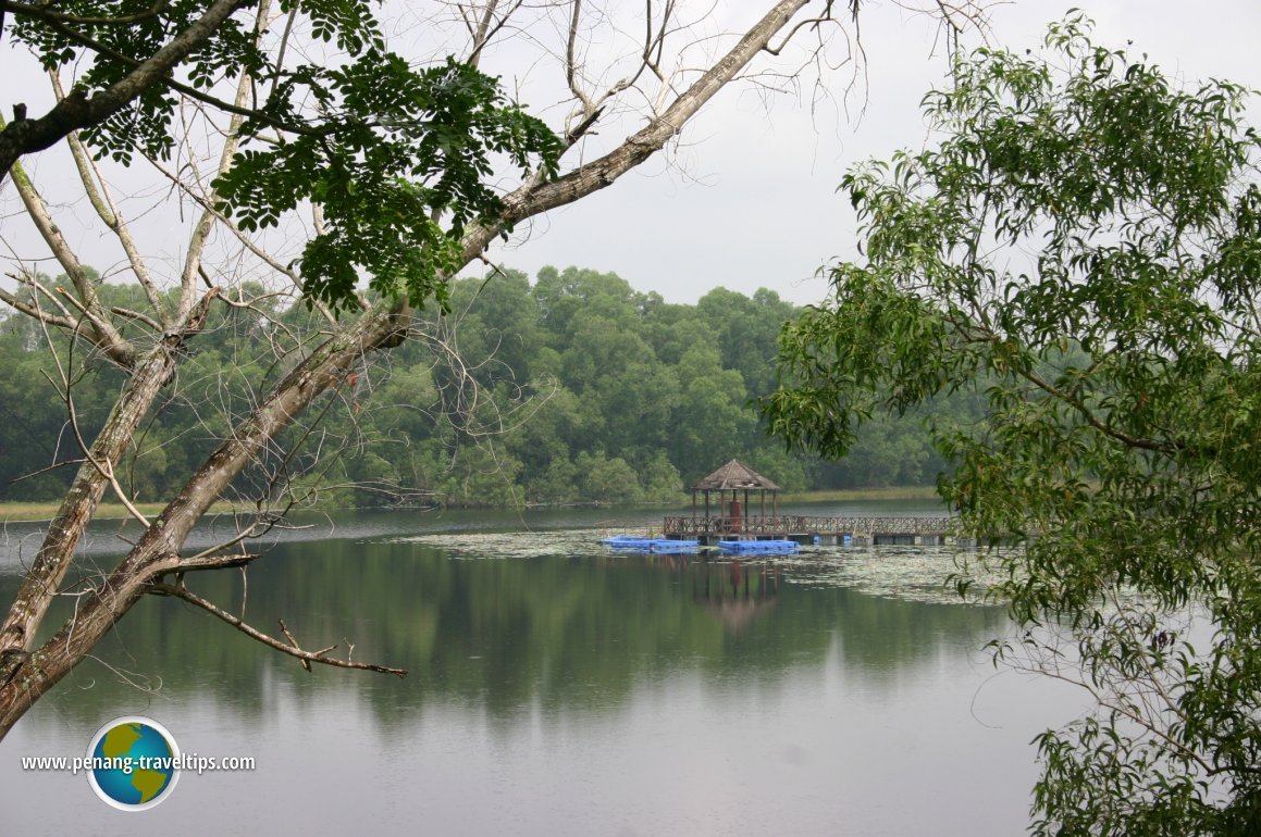 Paya Indah Wetlands