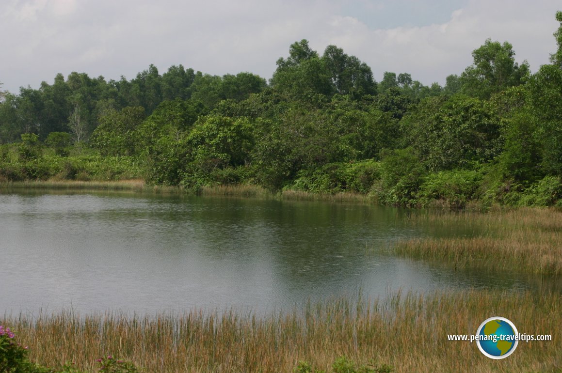 Paya Indah Wetlands