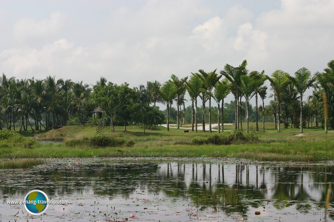 Paya Indah Wetlands