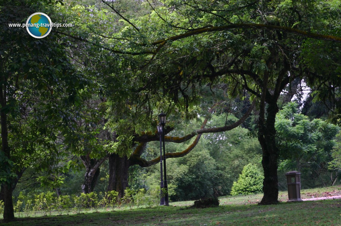 Perdana Botanical Gardens