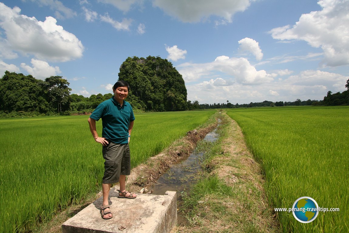 Timothy Tye with paddy fields of Perlis