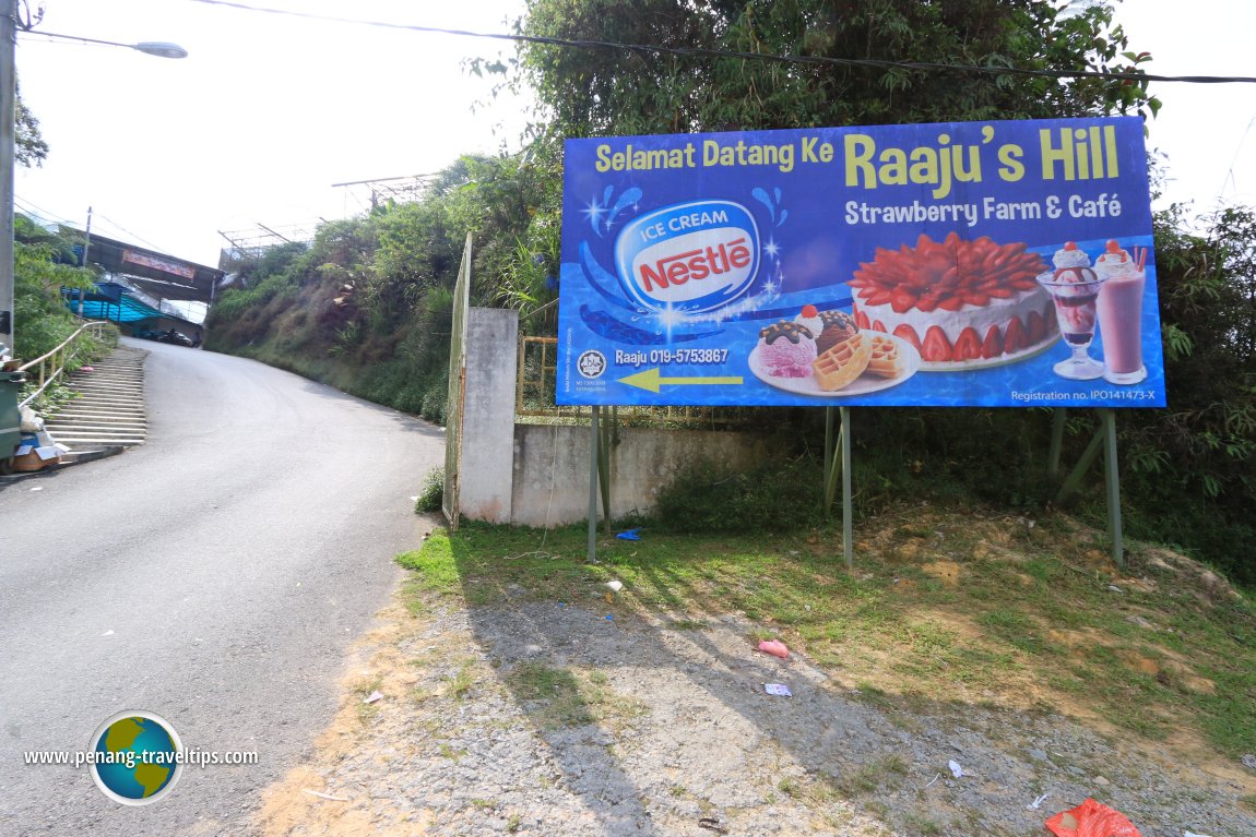 Raaju's Hill, Cameron Highlands