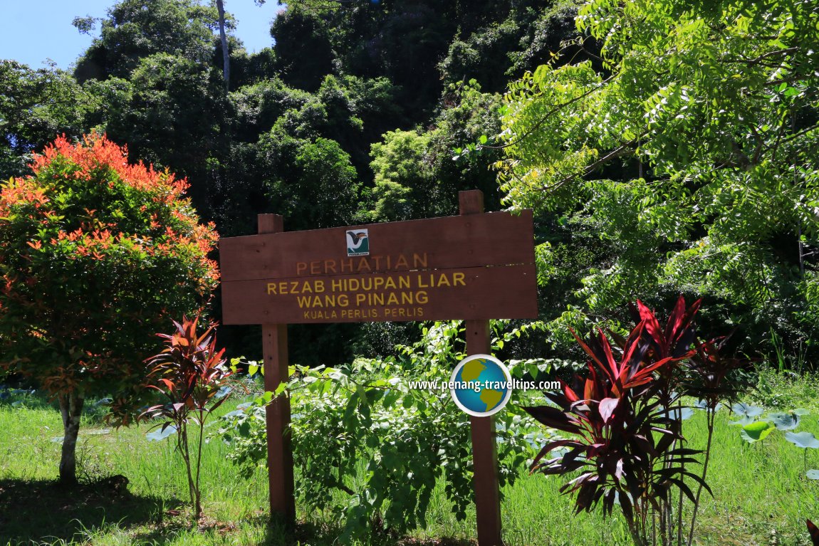 Rezab Hidupan Liar Wang Pinang, Kuala Perlis