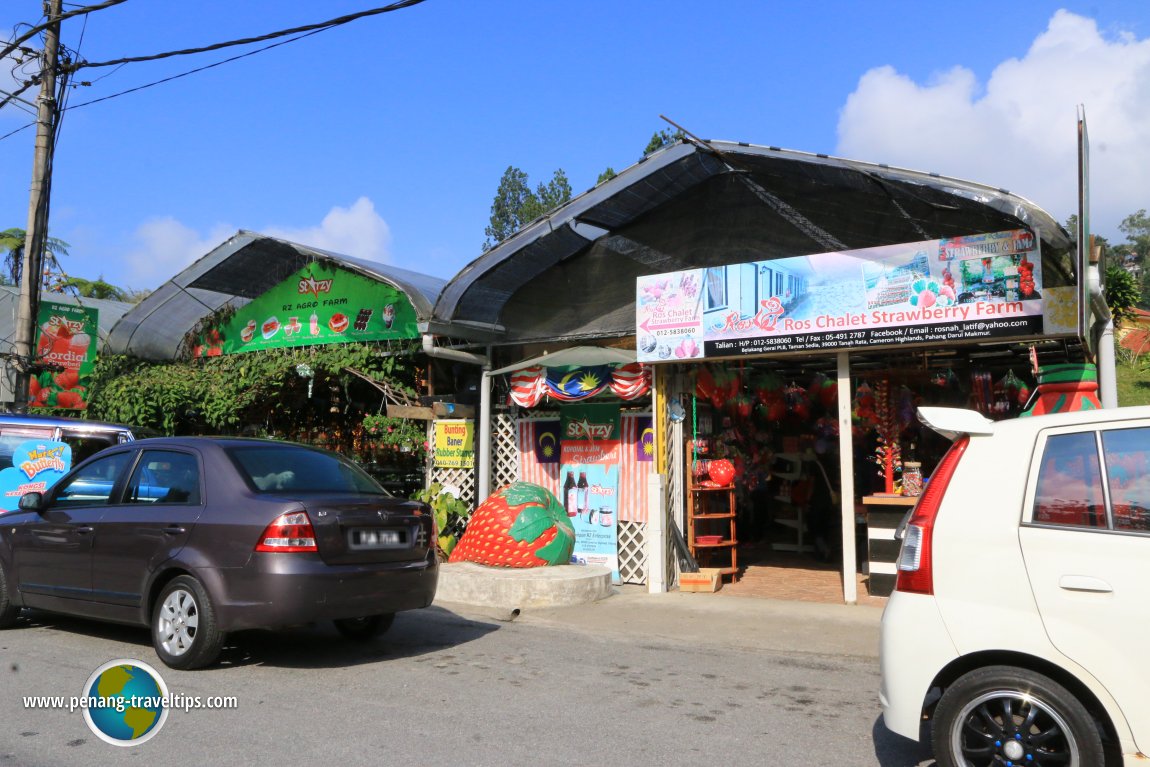 Ros Chalet Strawberry Farm, Cameron Highlands