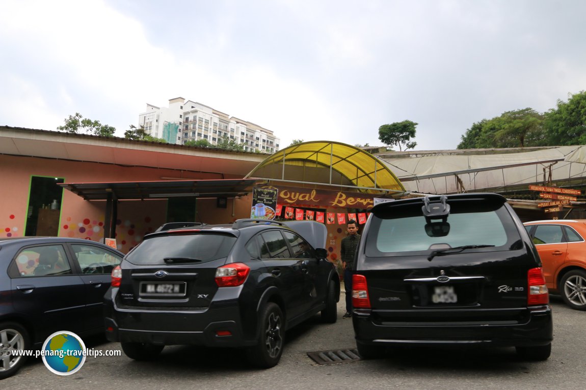 Royal Berry, Cameron Highlands