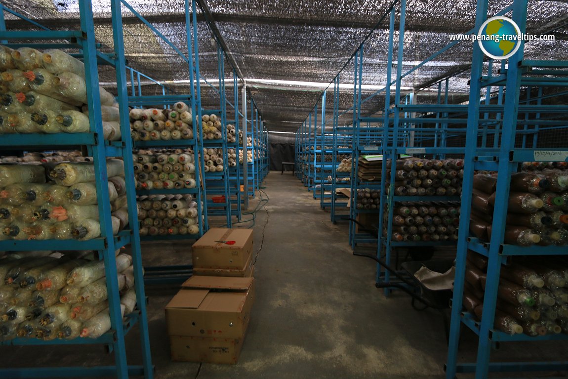 S'Corner Mushroom Farm