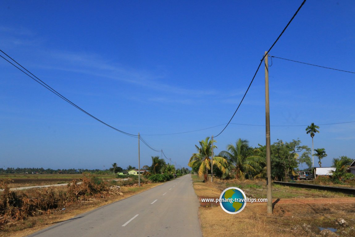 Sekinchan paddy fields