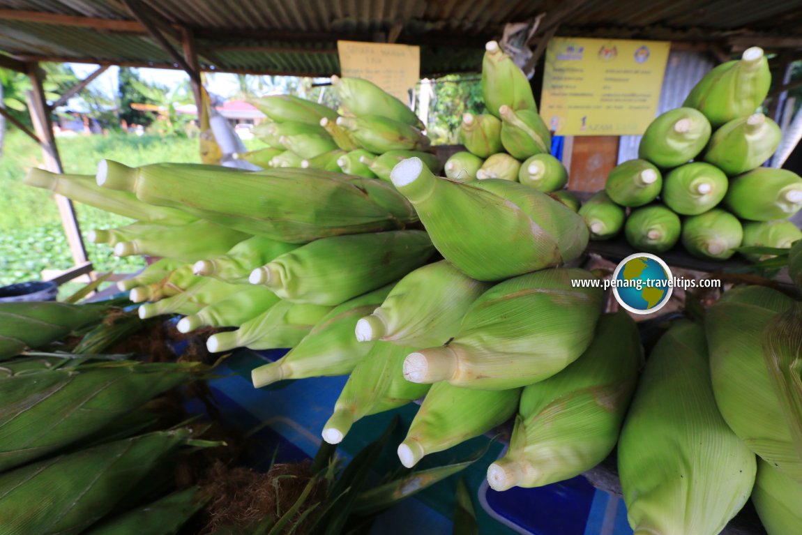 Sekinchan Fruit Stalls