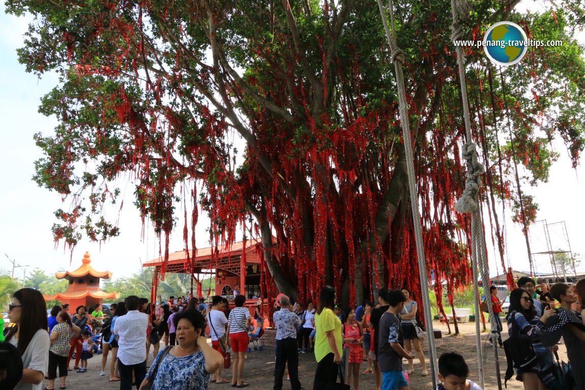 Sekinchan Wishing Tree