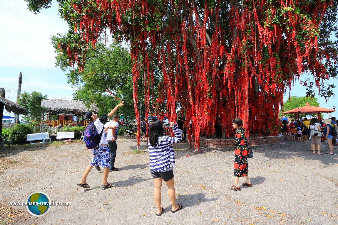 Sekinchan Wishing Tree