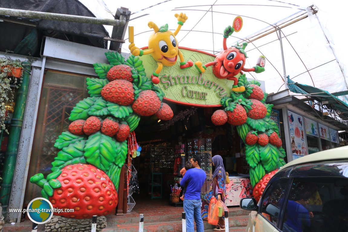 Strawberry Corner, Cameron Highlands