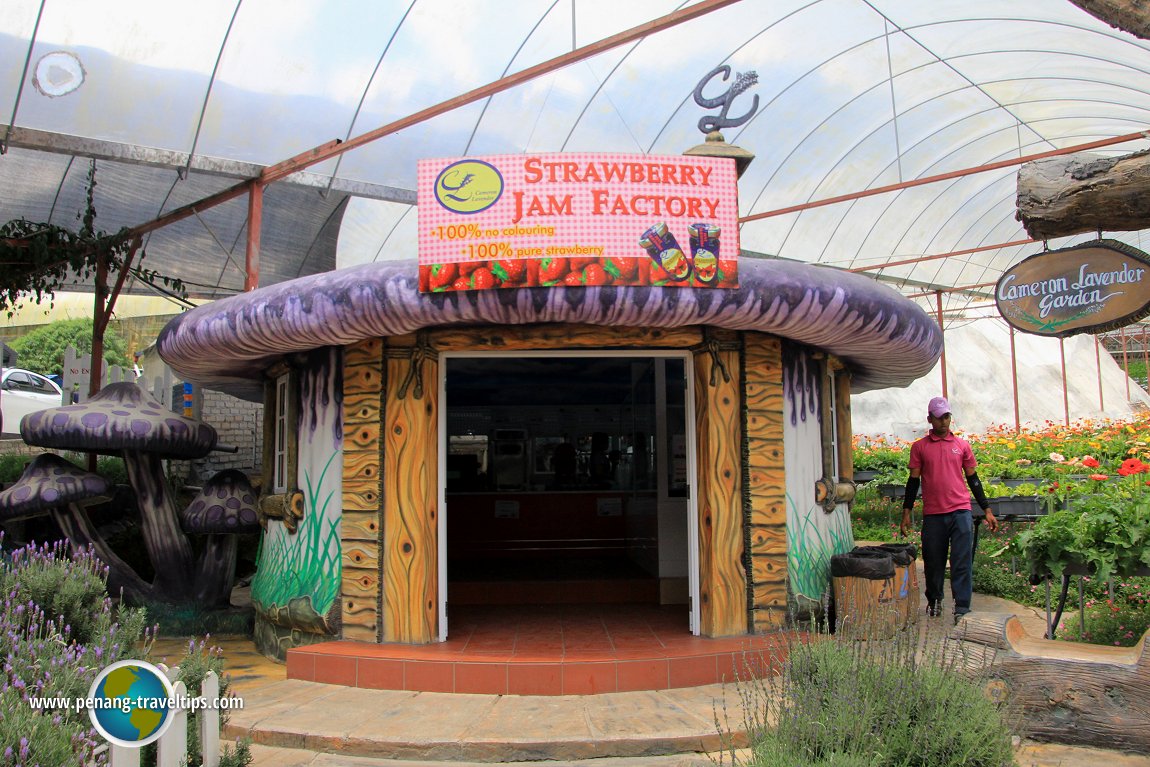 Strawberry Jam Factory at Cameron Lavender Garden