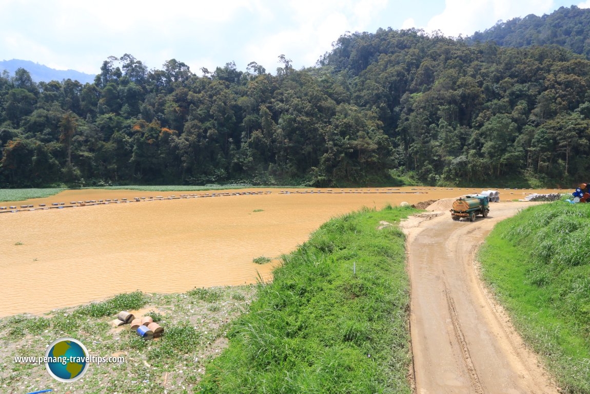 Sungai Bertam widens into a lake at Habu