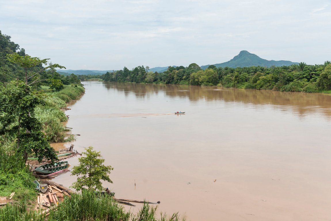 Sungai Kinabatangan, Sabah