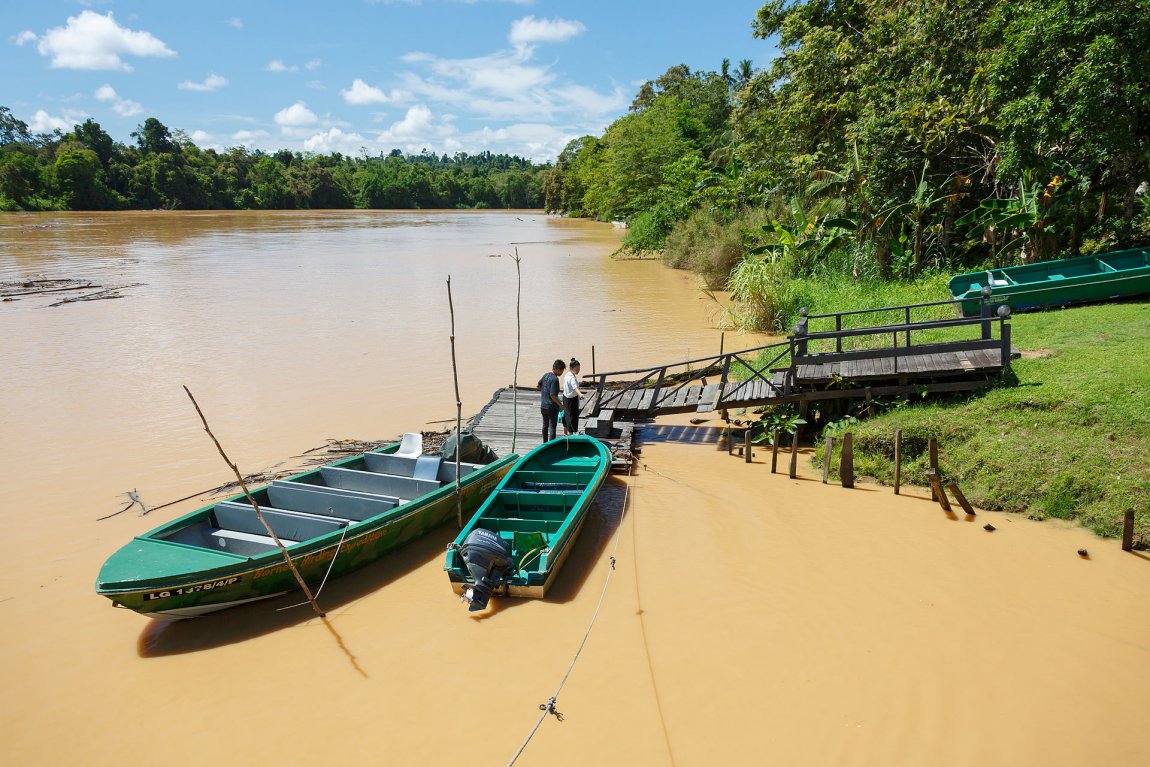 Sungai Kinabatangan, Sabah