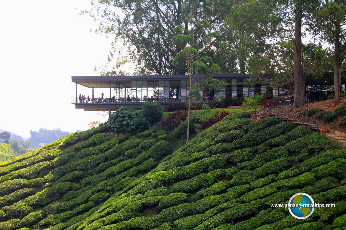 Sungei Palas Boh Tea Centre