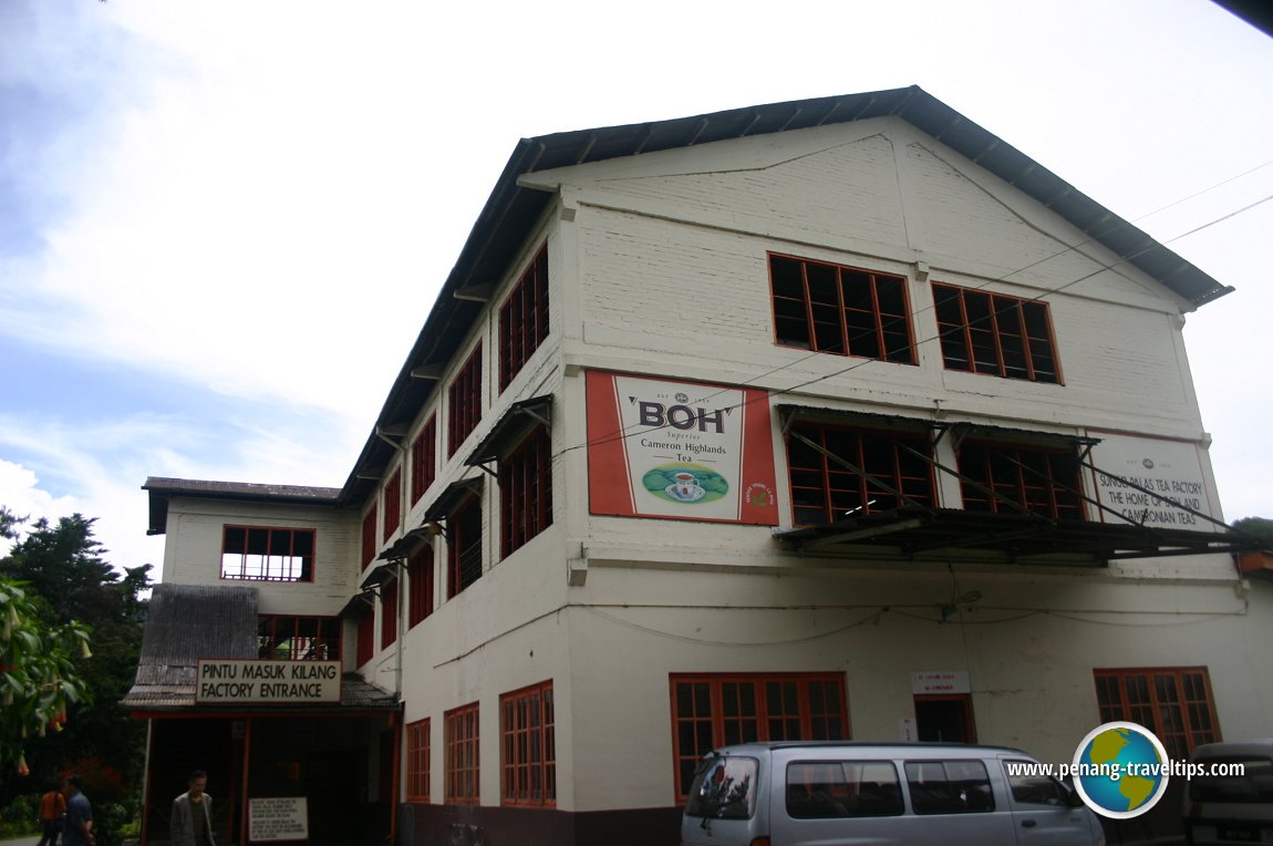 Sungei Palas Tea Factory