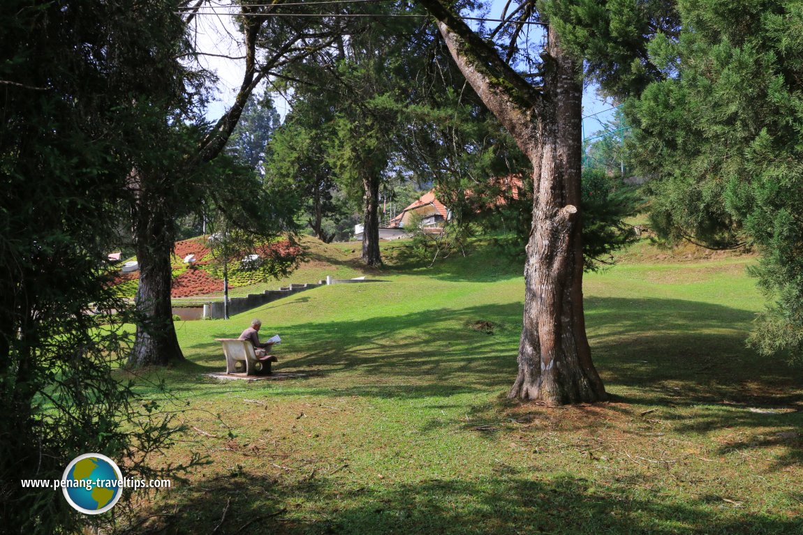 Tanah Rata Town Park