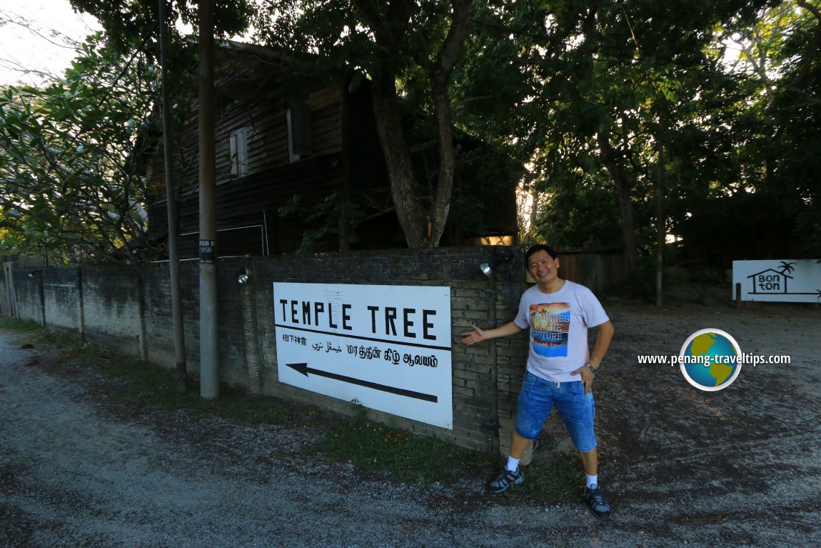 Temple Tree at Bon Ton