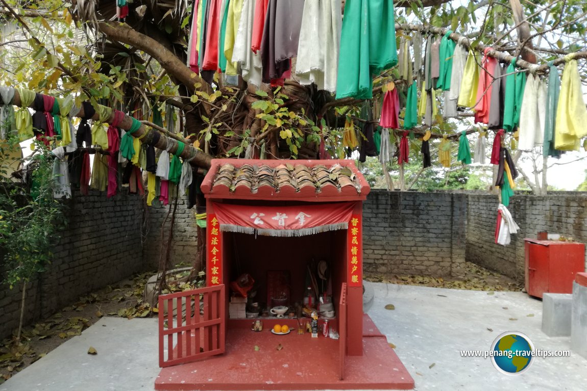 Datuk Kong shrine at Temple Tree