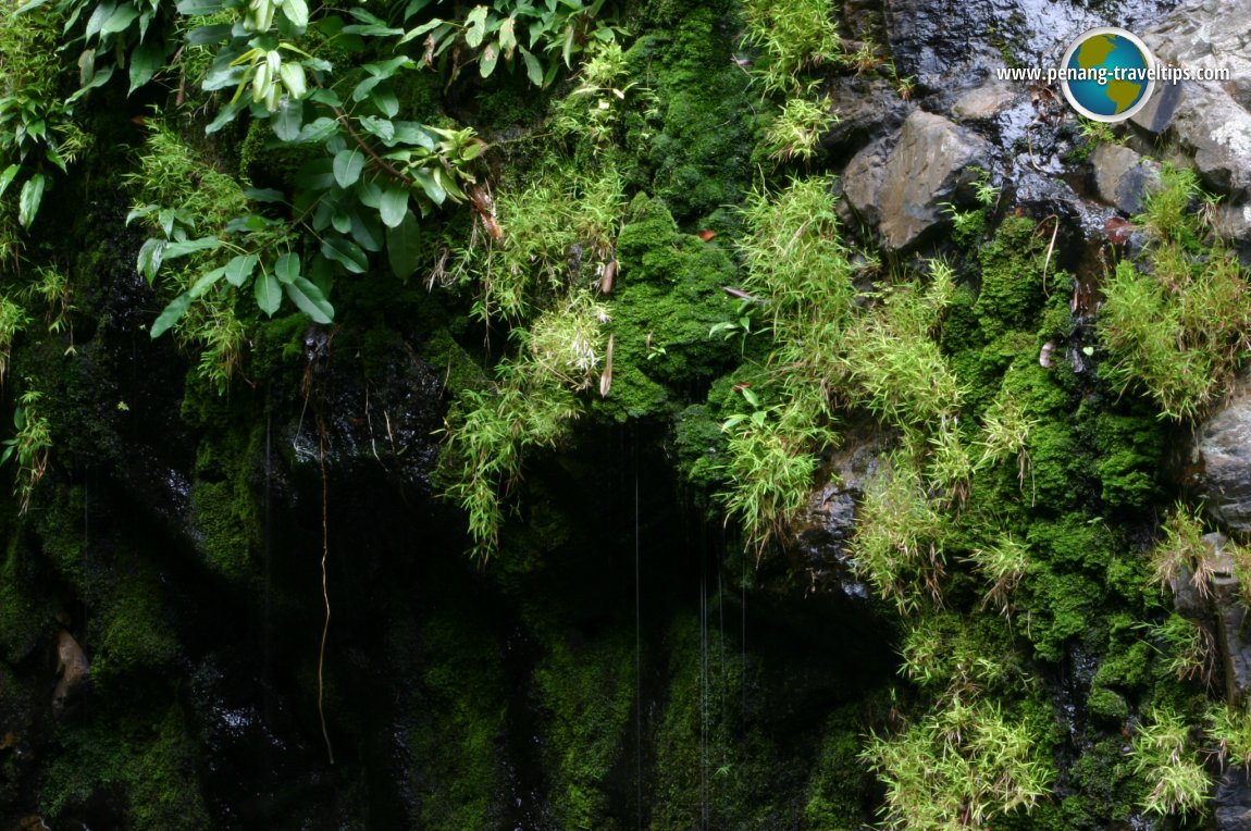 Temurun Waterfall, Langkawi