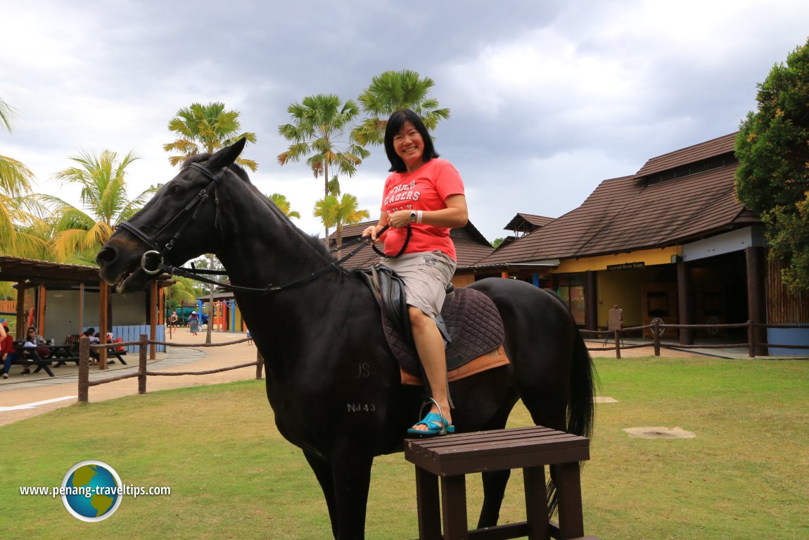 Goh Chooi Yoke at The Carnivall, Cinta Sayang Resort