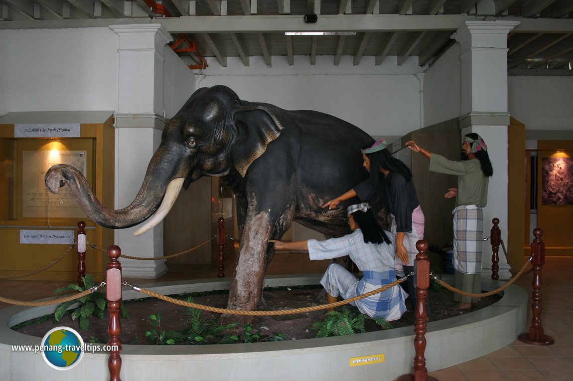 Larut, the Elephant
