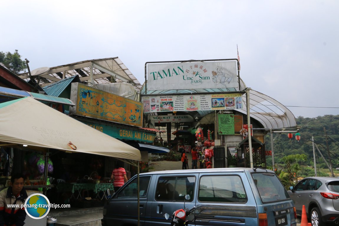 Unc Sam Farm, Cameron Highlands