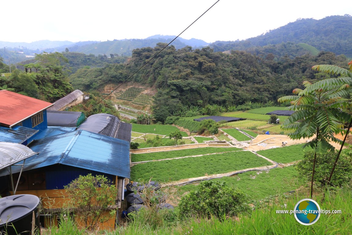 Water Crest Valley, Cameron Highlands