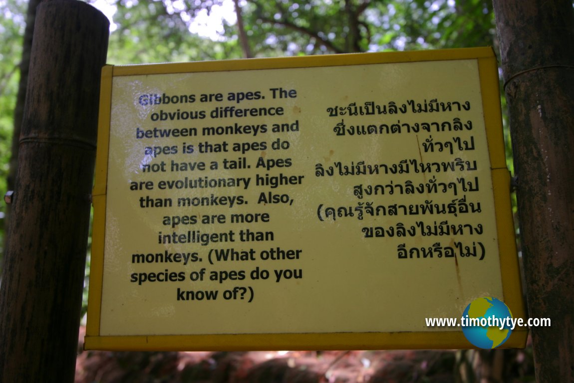 Gibbon Rehabilitation Project, Phuket