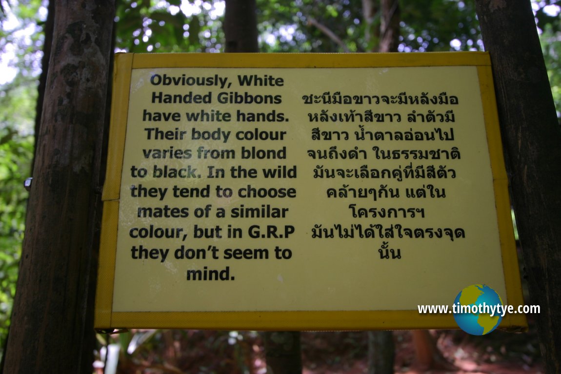 Gibbon Rehabilitation Project, Phuket