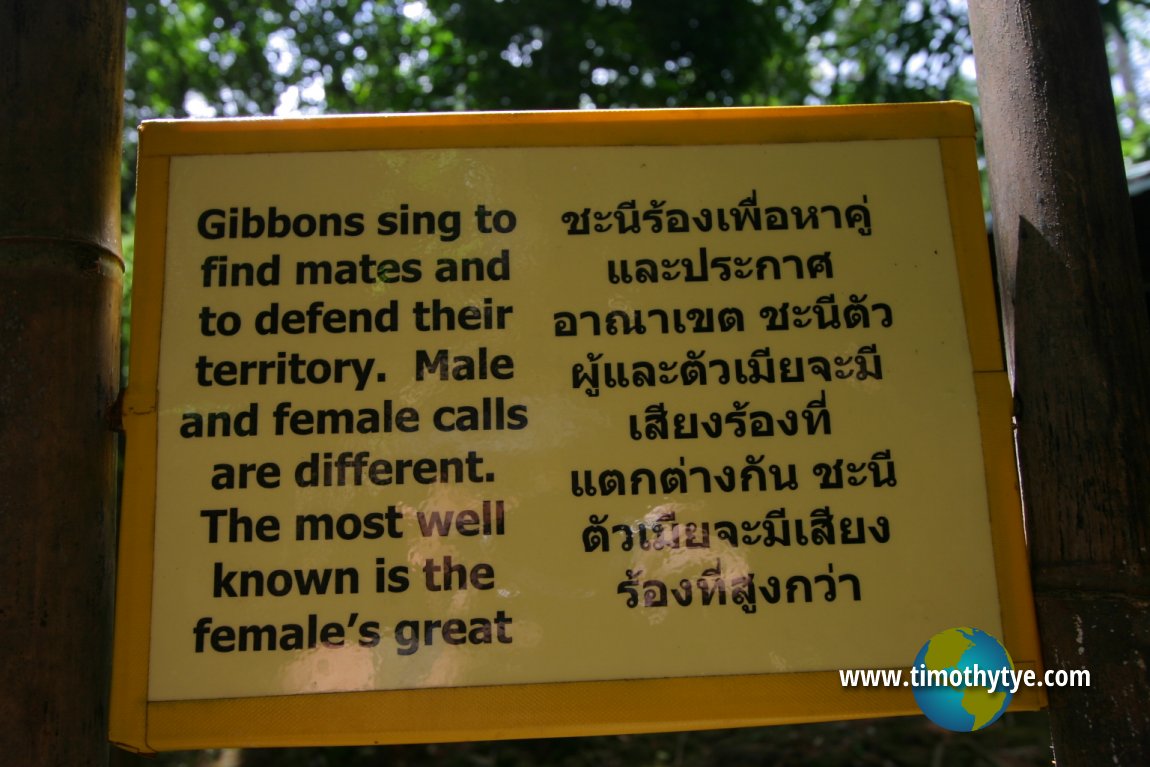 Gibbon Rehabilitation Project, Phuket