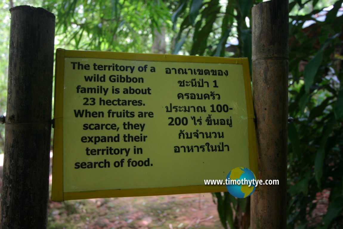 Gibbon Rehabilitation Project, Phuket