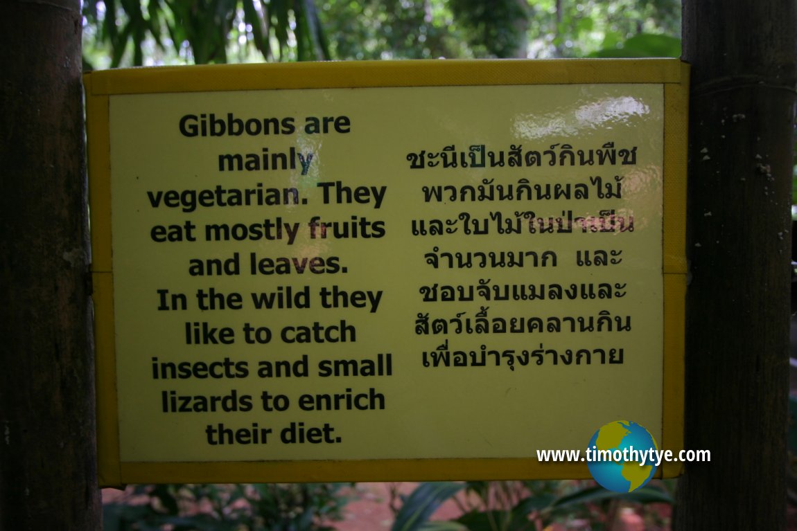 Gibbon Rehabilitation Project, Phuket