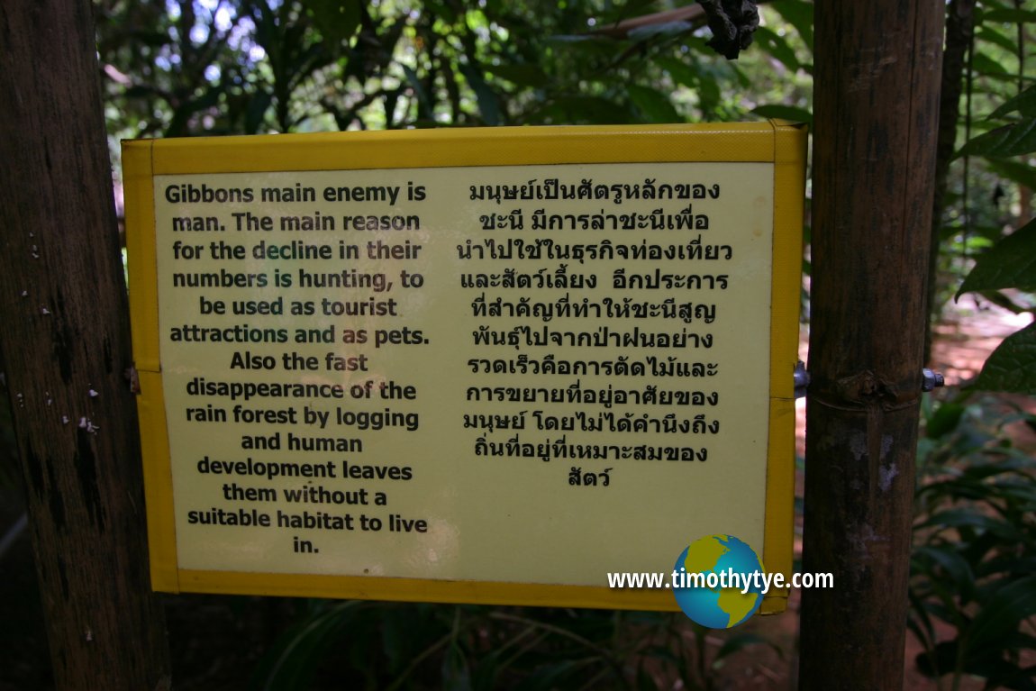 Gibbon Rehabilitation Project, Phuket